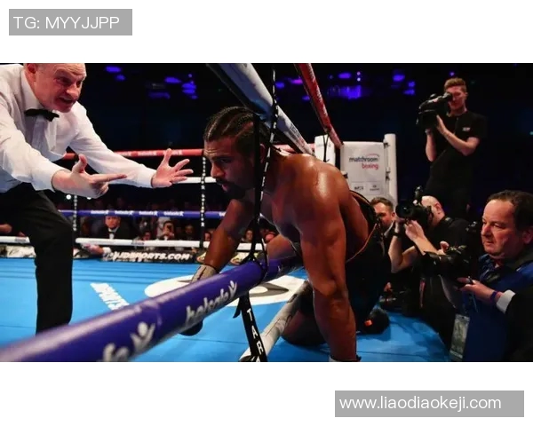 托尼贝柳与海耶的巅峰对决谁能笑到最后揭开拳坛新篇章