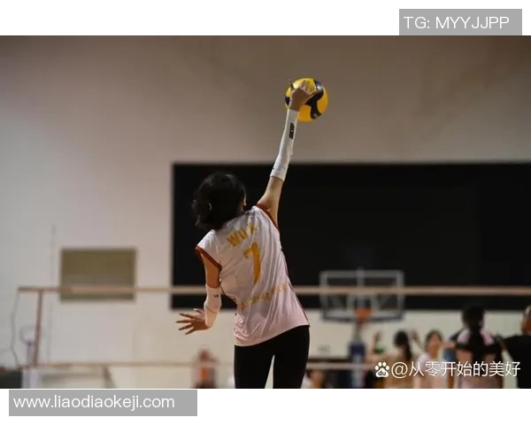 排球新手必看：从零开始的比赛经验与技巧全攻略